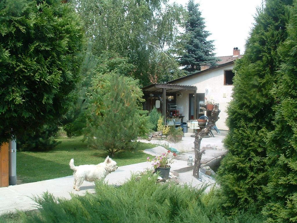 Ferienwohnung Rigofeszek Vendeghaz Mátraszele Exterior foto