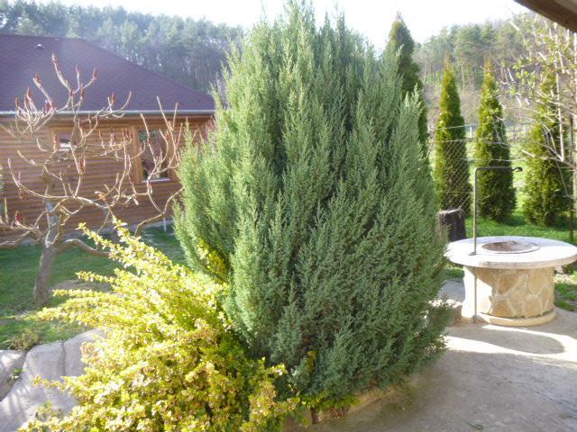 Ferienwohnung Rigofeszek Vendeghaz Mátraszele Exterior foto